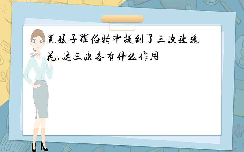 黑孩子罗伯特中提到了三次玫瑰花,这三次各有什么作用