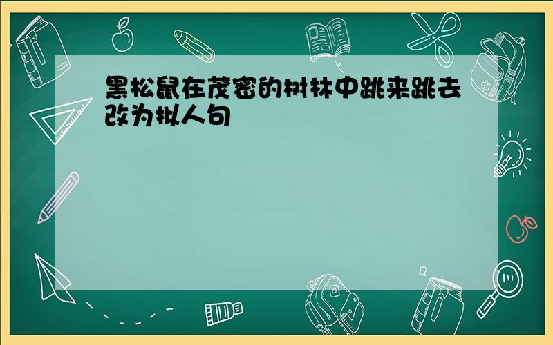 黑松鼠在茂密的树林中跳来跳去改为拟人句