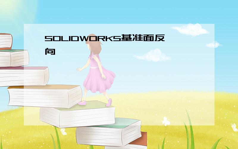 SOLIDWORKS基准面反向