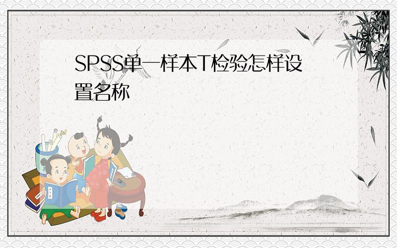 SPSS单一样本T检验怎样设置名称