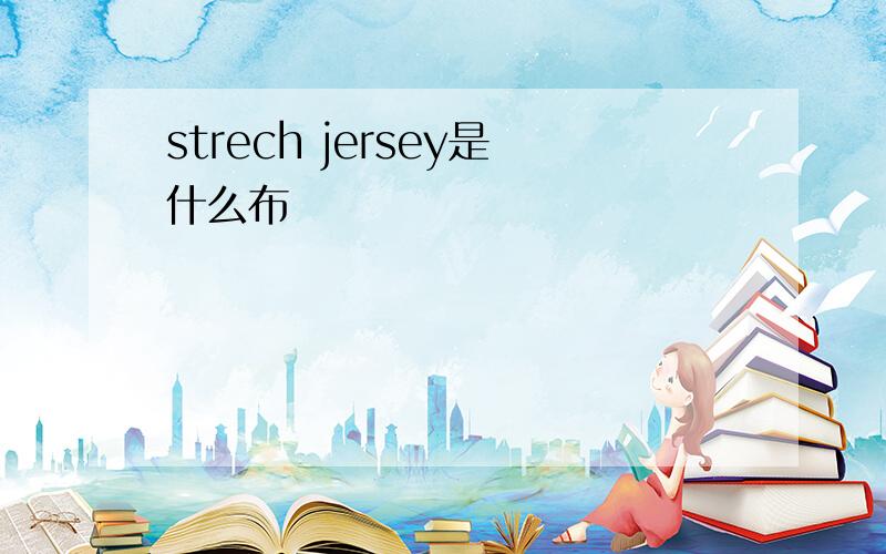 strech jersey是什么布