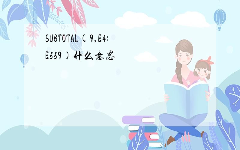 SUBTOTAL(9,E4:E559)什么意思