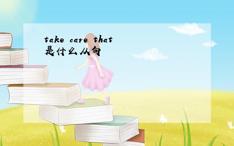 take care that是什么从句