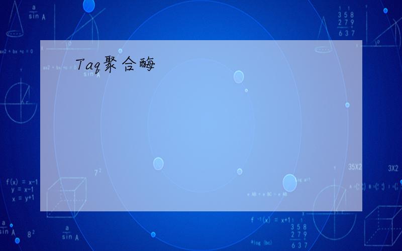 Taq聚合酶