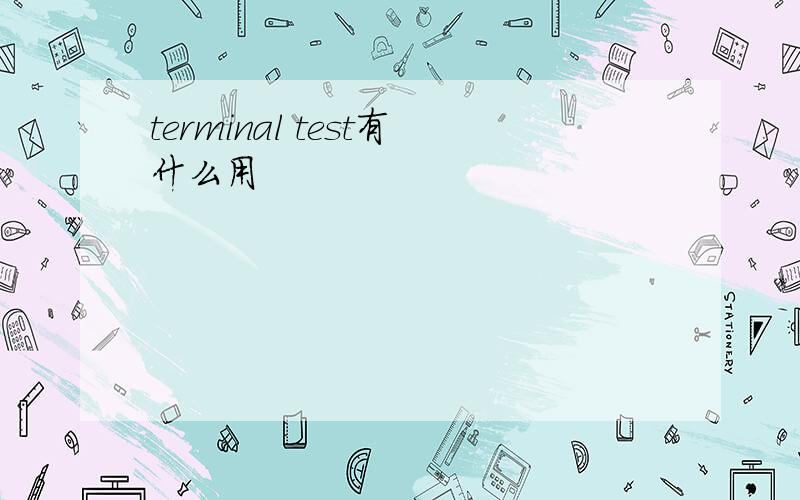 terminal test有什么用