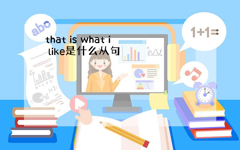 that is what i like是什么从句