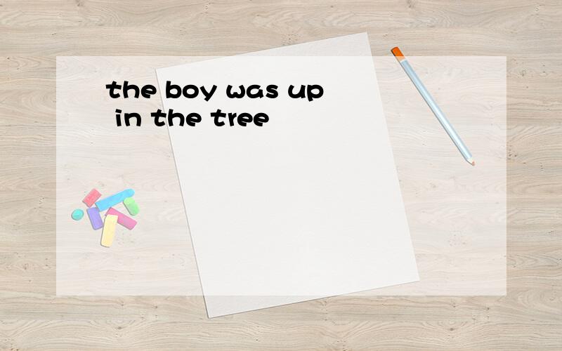 the boy was up in the tree