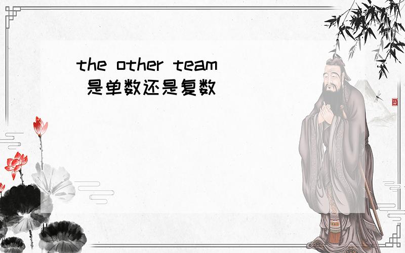 the other team 是单数还是复数