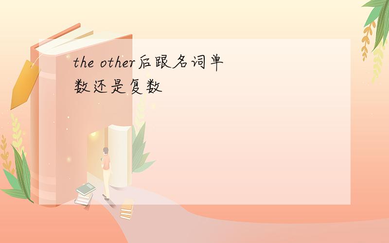 the other后跟名词单数还是复数