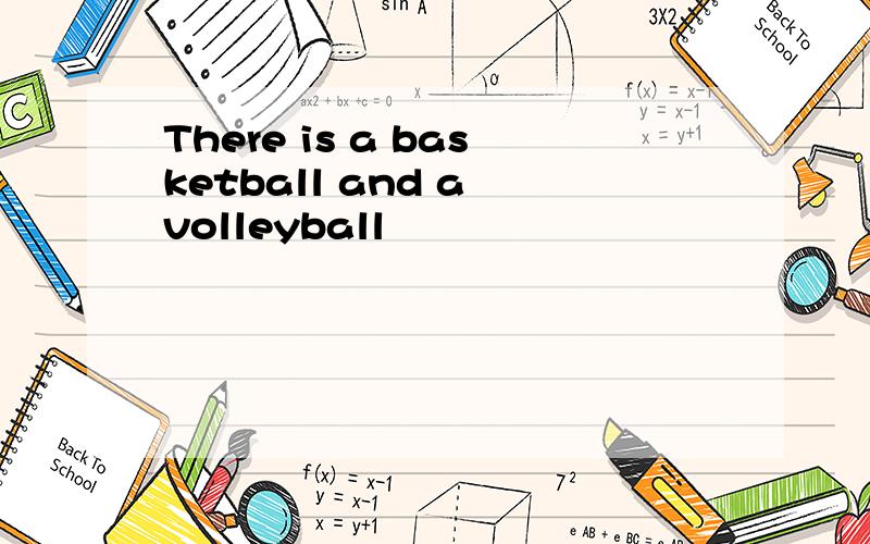 There is a basketball and a volleyball