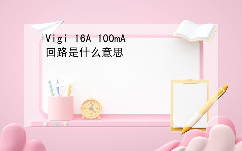 Vigi 16A 100mA回路是什么意思