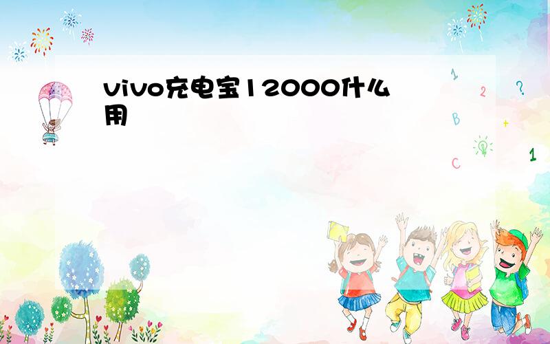 vivo充电宝12000什么用