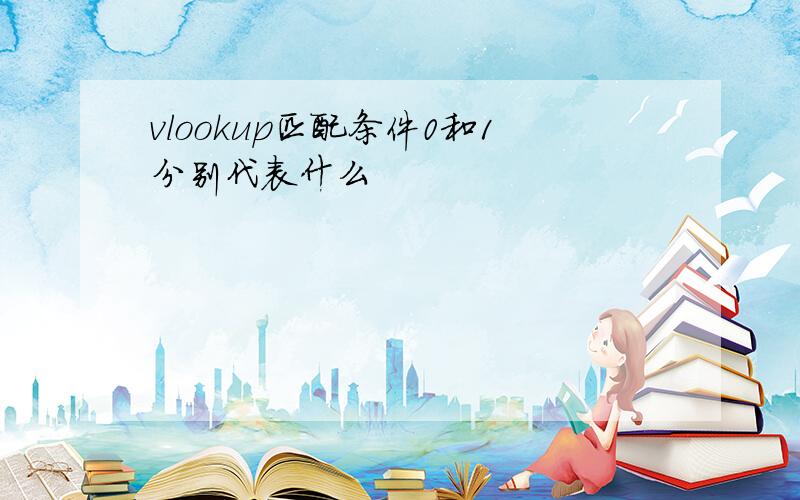 vlookup匹配条件0和1分别代表什么