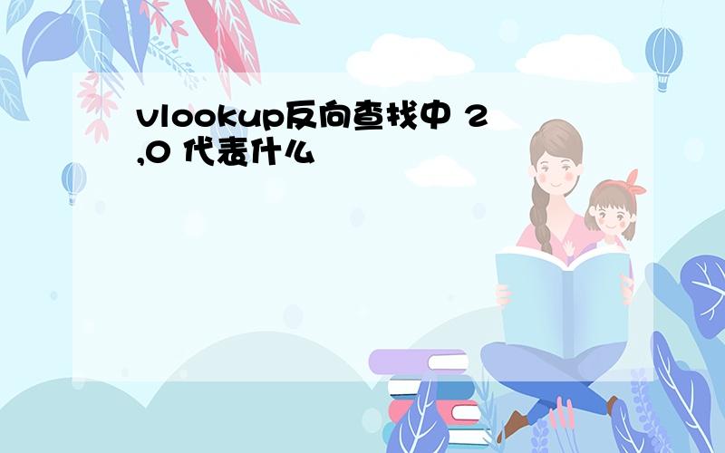 vlookup反向查找中 2,0 代表什么