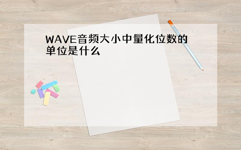 WAVE音频大小中量化位数的单位是什么