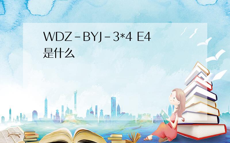 WDZ-BYJ-3*4 E4是什么