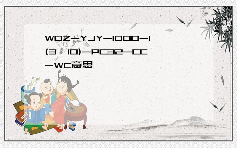 WDZ-YJY-1000-1(3*10)-PC32-CC-WC意思