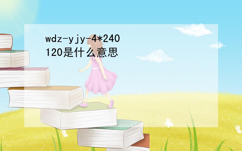 wdz-yjy-4*240 120是什么意思