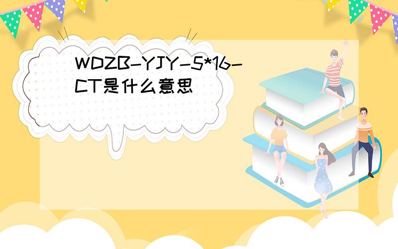 WDZB-YJY-5*16-CT是什么意思