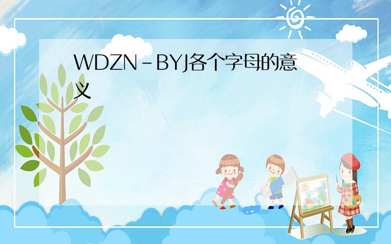 WDZN-BYJ各个字母的意义