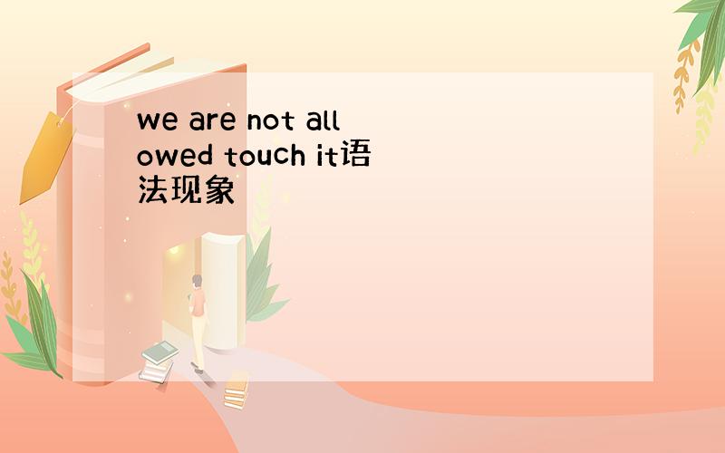 we are not allowed touch it语法现象