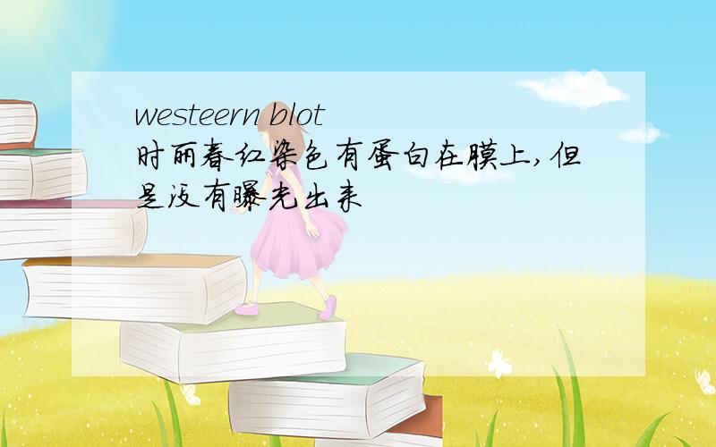 westeern blot 时丽春红染色有蛋白在膜上,但是没有曝光出来