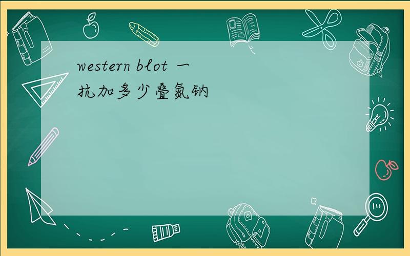 western blot 一抗加多少叠氮钠