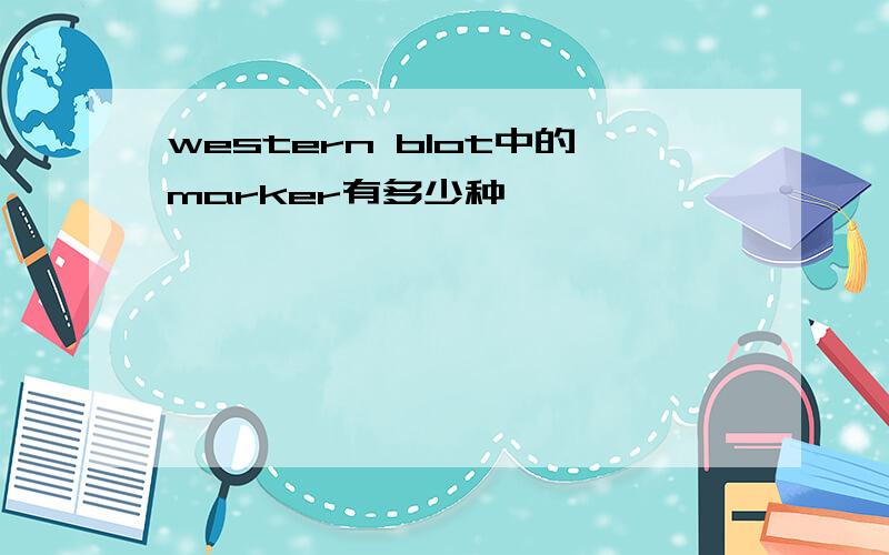 western blot中的marker有多少种