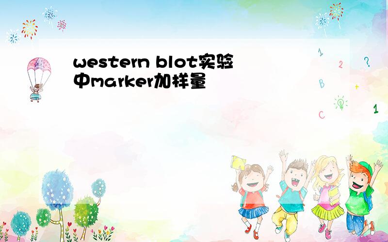 western blot实验中marker加样量