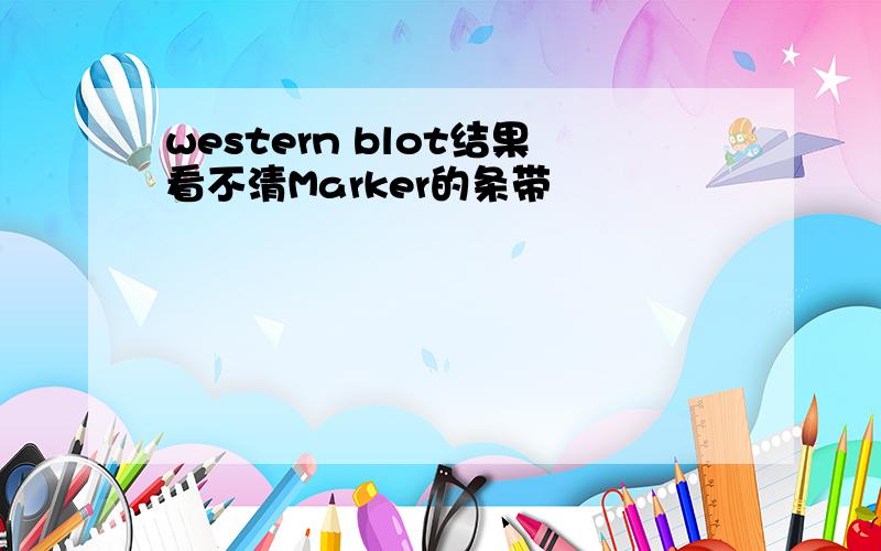 western blot结果看不清Marker的条带