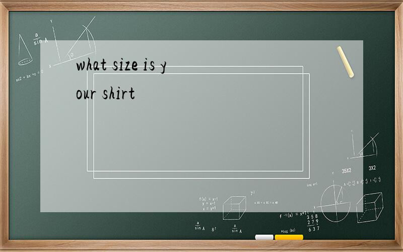 what size is your shirt