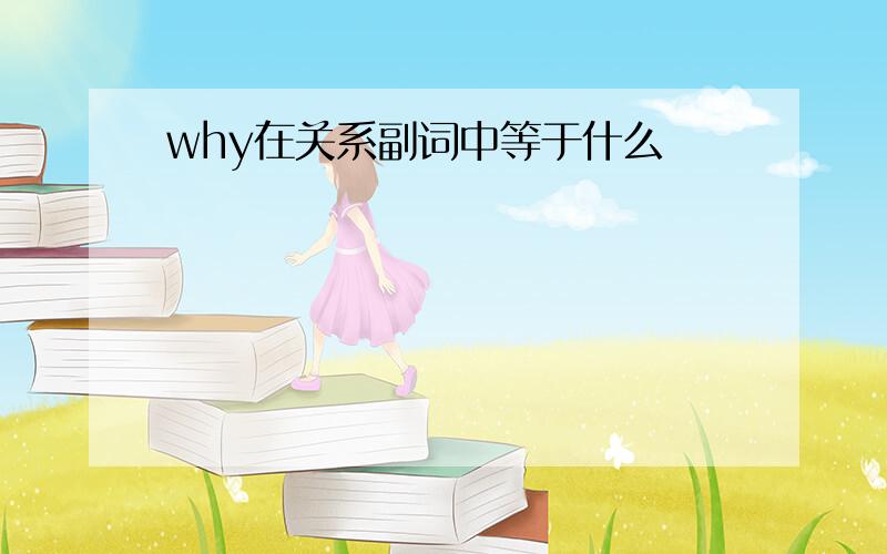 why在关系副词中等于什么