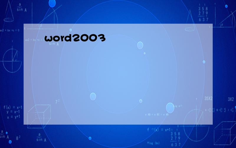 word2003