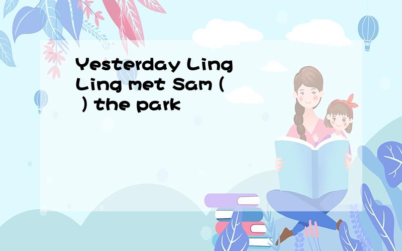 Yesterday LingLing met Sam ( ) the park