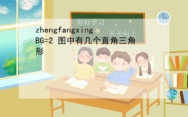 zhengfangxing BG=2 图中有几个直角三角形