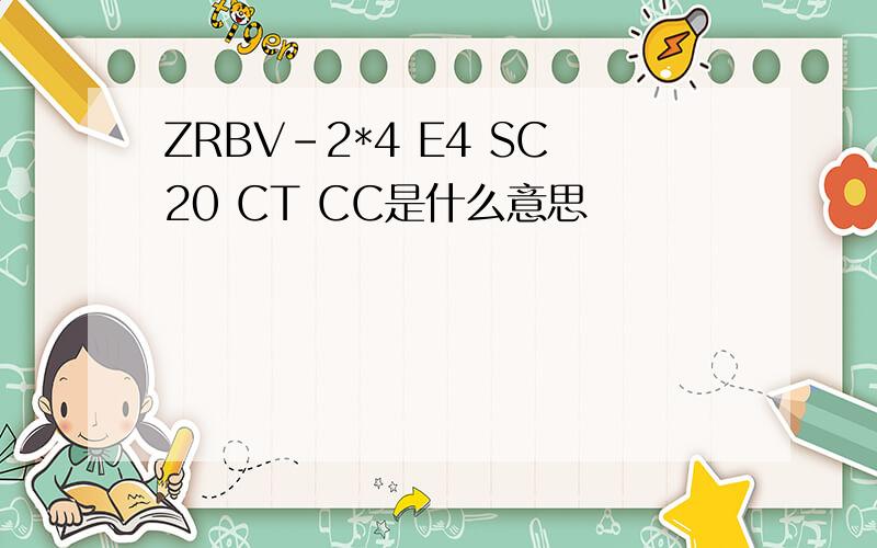 ZRBV-2*4 E4 SC20 CT CC是什么意思