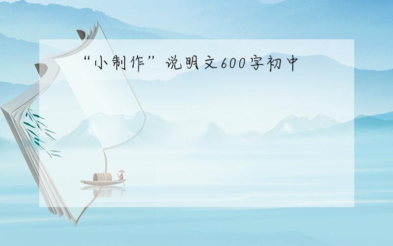 “小制作”说明文600字初中