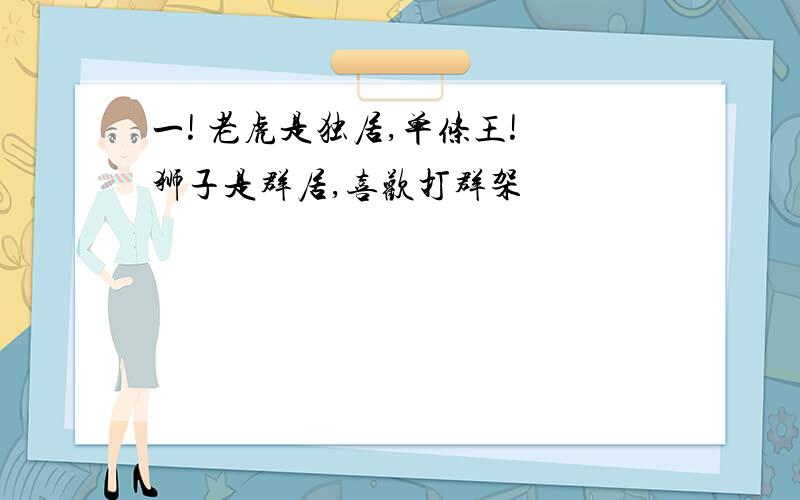 一! 老虎是独居,单条王! 狮子是群居,喜欢打群架