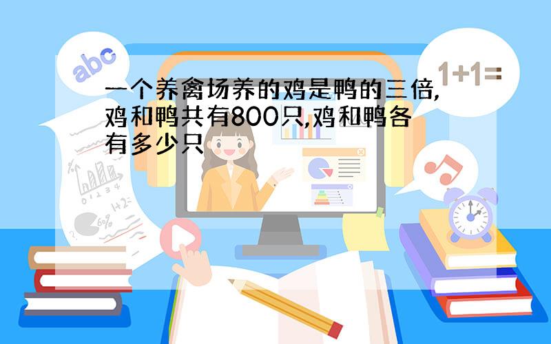 一个养禽场养的鸡是鸭的三倍,鸡和鸭共有800只,鸡和鸭各有多少只