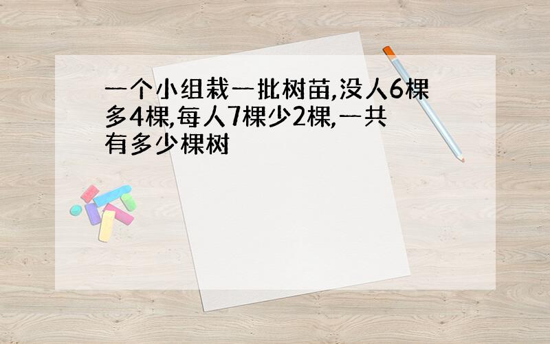 一个小组栽一批树苗,没人6棵多4棵,每人7棵少2棵,一共有多少棵树