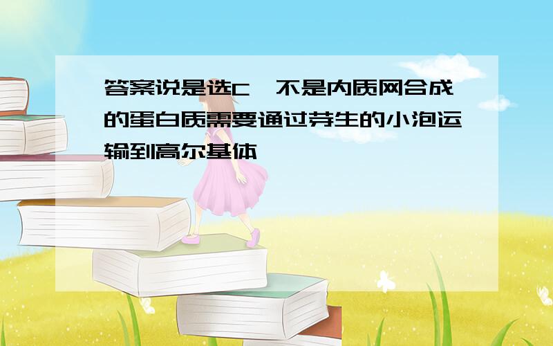 答案说是选C,不是内质网合成的蛋白质需要通过芽生的小泡运输到高尔基体