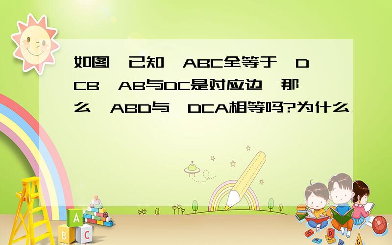 如图,已知△ABC全等于△DCB,AB与DC是对应边,那么∠ABD与∠DCA相等吗?为什么