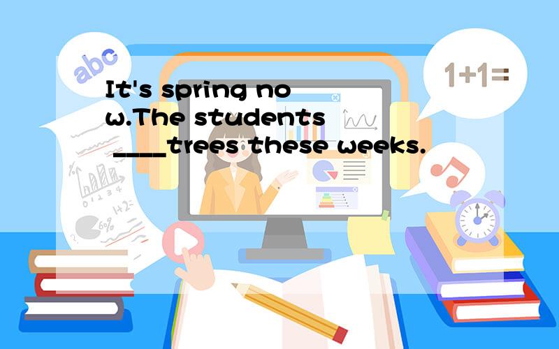 It's spring now.The students ____trees these weeks.