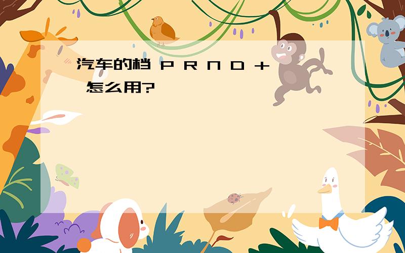 汽车的档 P R N D + 怎么用?