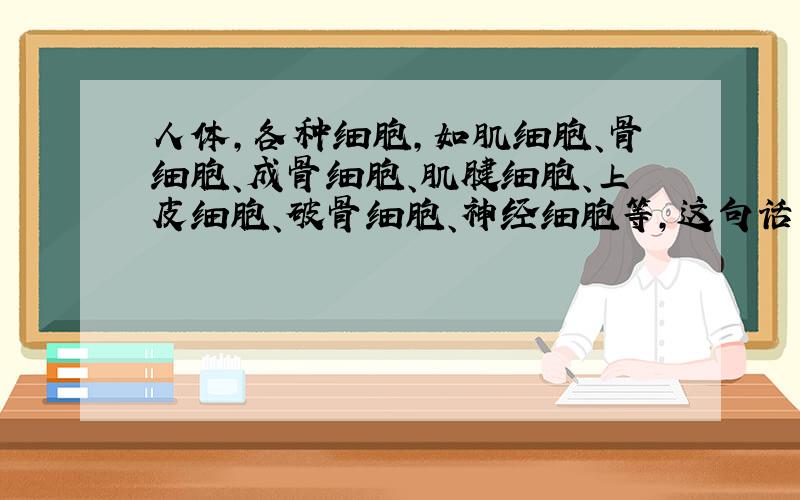 人体,各种细胞,如肌细胞、骨细胞、成骨细胞、肌腱细胞、上皮细胞、破骨细胞、神经细胞等,这句话正确吗