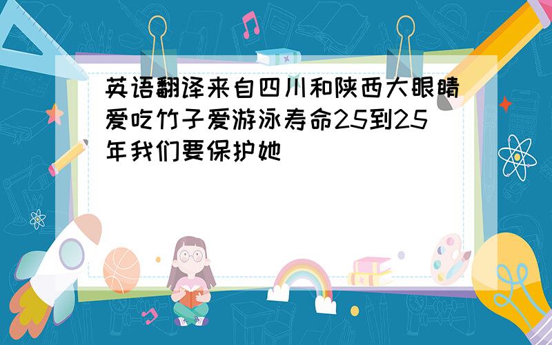 英语翻译来自四川和陕西大眼睛爱吃竹子爱游泳寿命25到25年我们要保护她