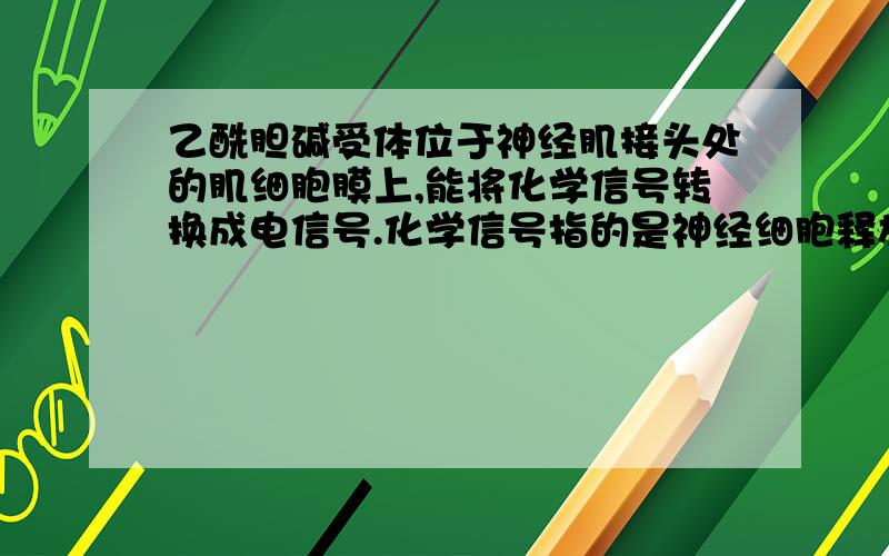 乙酰胆碱受体位于神经肌接头处的肌细胞膜上,能将化学信号转换成电信号.化学信号指的是神经细胞释放的_______,电信号指