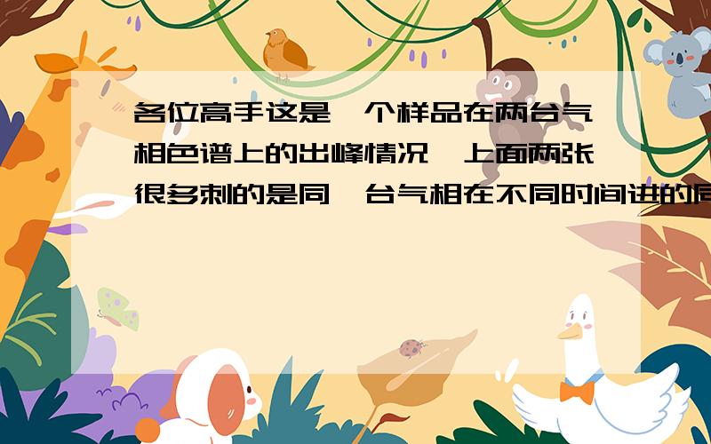 各位高手这是一个样品在两台气相色谱上的出峰情况,上面两张很多刺的是同一台气相在不同时间进的同一个样品,下面的一张是另外一