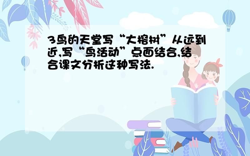 3鸟的天堂写“大榕树”从远到近,写“鸟活动”点面结合,结合课文分析这种写法.