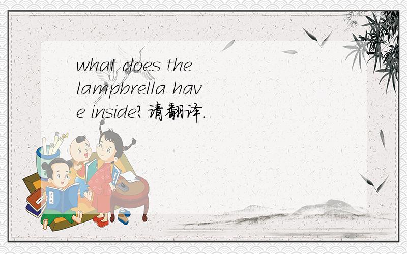 what does the lampbrella have inside?请翻译.